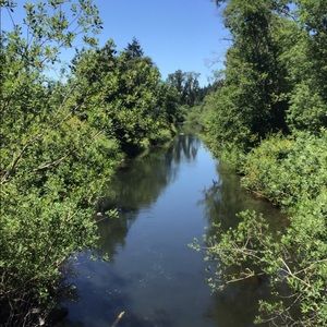 Meet your Posher, Racquel